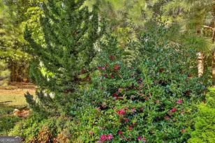 120 Meadow View Glen, Newnan, GA 30265 - Photo 15