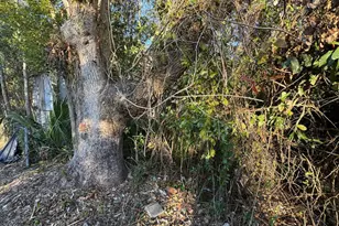 916 Gordon St, Brunswick, GA 31520 - Photo 75