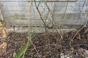 916 Gordon St, Brunswick, GA 31520 - Photo 47