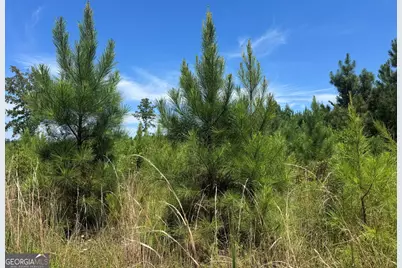 04 Cleghorn Drive, Tallassee, AL 36078 - Photo 7