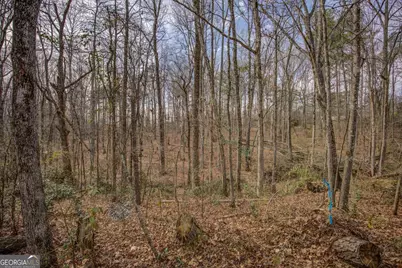 2816 Klondike Road SW, Conyers, GA 30094 - Photo 51