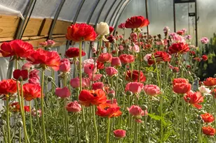 1580 Farmington Rd, Madison, GA 30650 - Photo 39