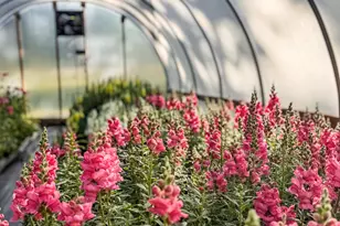 1580 Farmington Rd, Madison, GA 30650 - Photo 41