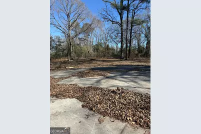 102 Canion Place, Kathleen, GA 31047 - Photo 3