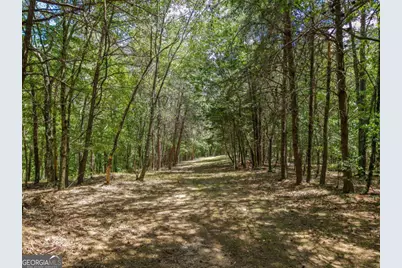 0 Mount Pleasant Road NE, Fairmount, GA 30139 - Photo 9