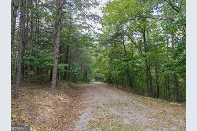 0 Mount Pleasant Road NE, Fairmount, GA 30139 - Photo 47