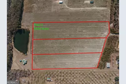 0 Tract 3 Lake Mayers Road, Baxley, GA 31513 - Photo 1