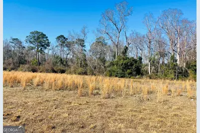 16.59Ac Rosemont Road, Glennville, GA 30427 - Photo 3