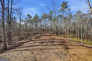 835 Hilton Dr, Ellijay, GA 30540 - Photo 39