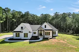 787 Silver Dollar Rd, Milner, GA 30257 - Photo 3