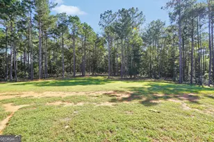 787 Silver Dollar Rd, Milner, GA 30257 - Photo 57