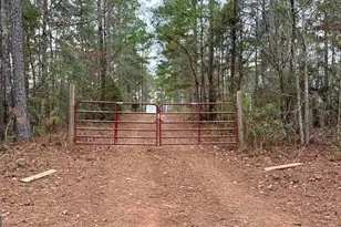 0 S Porter Rd, Shiloh, GA 31826 - Photo 1