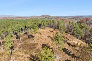 0 Sand Pit Rd, Summerville, GA 30747 - Photo 1