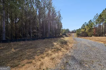 0 Sand Pit Road, Summerville, GA 30747 - Photo 17