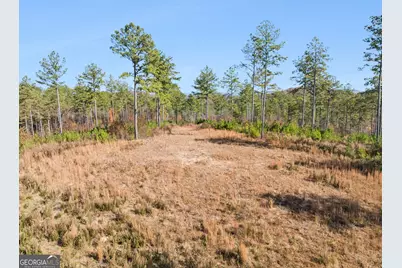 0 Sand Pit Road, Summerville, GA 30747 - Photo 27