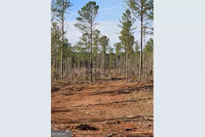 0 Martin Mill Road, Eatonton, GA 31024 - Photo 5