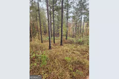 0 Martin Mill Road, Eatonton, GA 31024 - Photo 13