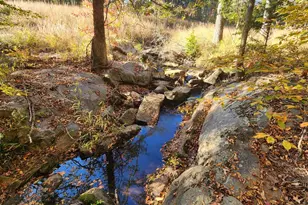 0 Martin Mill Rd, Eatonton, GA 31024 - Photo 1