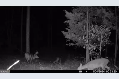 0 Martin Mill Road, Eatonton, GA 31024 - Photo 17