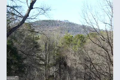 225 Hilltop Ln, Clarkesville, GA 30523 - Photo 1