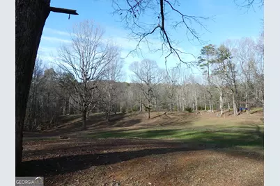 225 Hilltop Ln, Clarkesville, GA 30523 - Photo 13