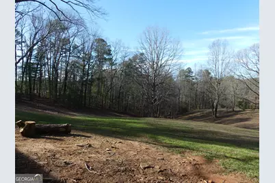 225 Hilltop Ln, Clarkesville, GA 30523 - Photo 11