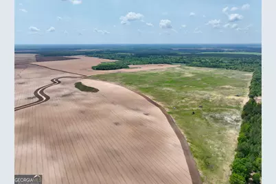 89 Griffin Road, Hawkinsville, GA 31036 - Photo 33