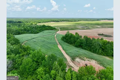 89 Griffin Road, Hawkinsville, GA 31036 - Photo 45