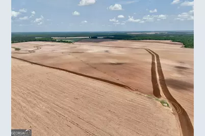 89 Griffin Road, Hawkinsville, GA 31036 - Photo 9