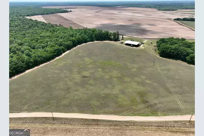 89 Griffin Road, Hawkinsville, GA 31036 - Photo 3