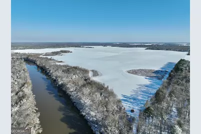 89 Griffin Road, Hawkinsville, GA 31036 - Photo 15