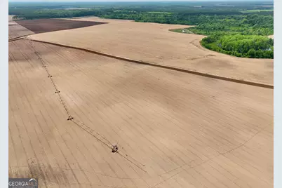 89 Griffin Road, Hawkinsville, GA 31036 - Photo 5