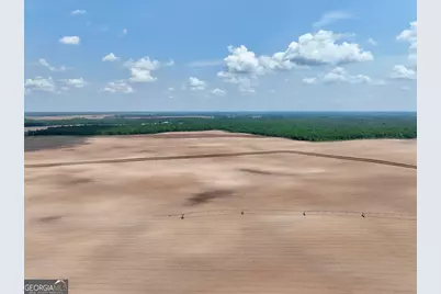 89 Griffin Road, Hawkinsville, GA 31036 - Photo 39