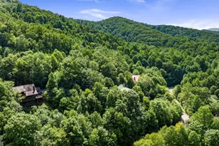 469 Mountain High Dr, Mineral Bluff, GA 30559 - Photo 51