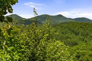 469 Mountain High Dr, Mineral Bluff, GA 30559 - Photo 5