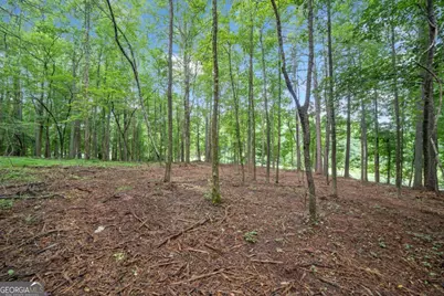 0 Brock Trail #3,4,5, Milton, GA 30004 - Photo 11