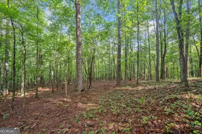 0 Brock Trail #3,4,5, Milton, GA 30004 - Photo 19