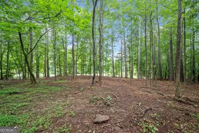 0 Brock Trail #3,4,5, Milton, GA 30004 - Photo 13