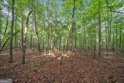 0 Brock Trail #3,4,5, Milton, GA 30004 - Photo 15