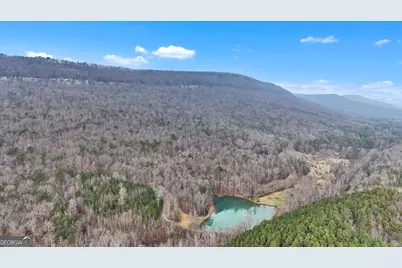 1478 Shinbone Valley Rd, Lafayette, GA 30728 - Photo 37