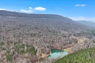 1478 Shinbone Valley Rd, Lafayette, GA 30728 - Photo 37