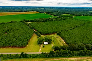 3176 E Centerpoint Rd, Preston, GA 31824 - Photo 5