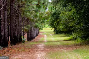 3176 E Centerpoint Rd, Preston, GA 31824 - Photo 43