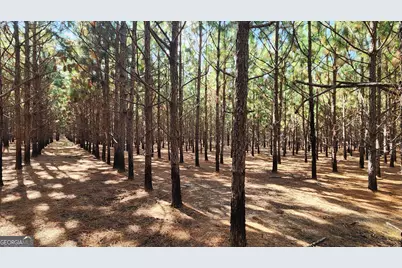 3176 E Centerpoint Road, Preston, GA 31824 - Photo 21