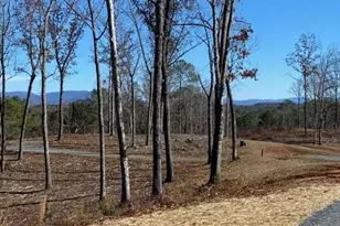 170 Oak Wood Ln, Ellijay, GA 30540 - Photo 69