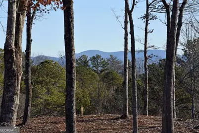 170 Oak Wood Lane, Ellijay, GA 30540 - Photo 11