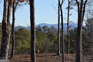 170 Oak Wood Ln, Ellijay, GA 30540 - Photo 11