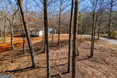 3100 Victory Church Road, Bowdon, GA 30108 - Photo 3