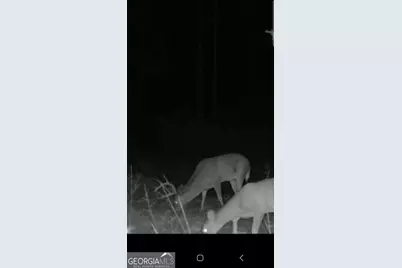 00 Martin Mill Road, Eatonton, GA 31024 - Photo 7