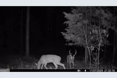 00 Martin Mill Road, Eatonton, GA 31024 - Photo 15